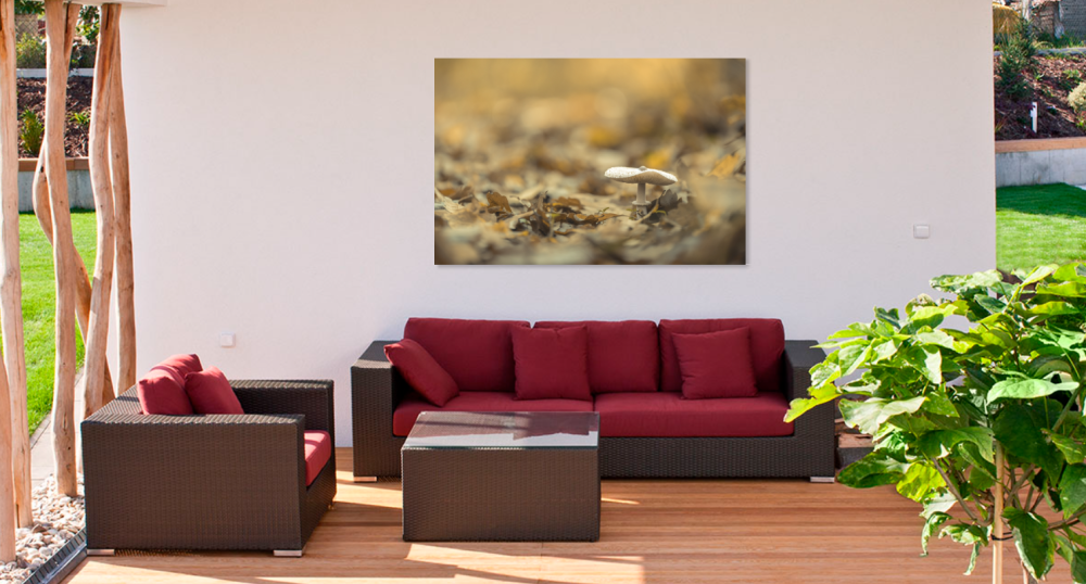 Tablou canvas, Ciuperca din padure, 100x70 cm [4]