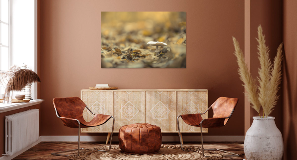 Tablou canvas, Ciuperca din padure, 100x70 cm [3]