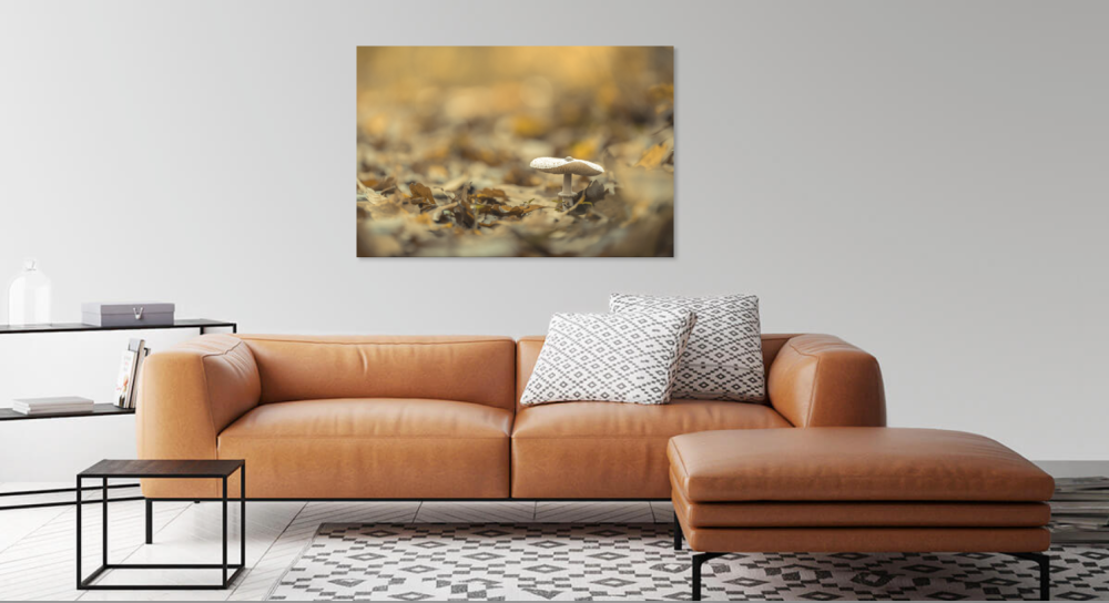 Tablou canvas, Ciuperca din padure, 100x70 cm [2]