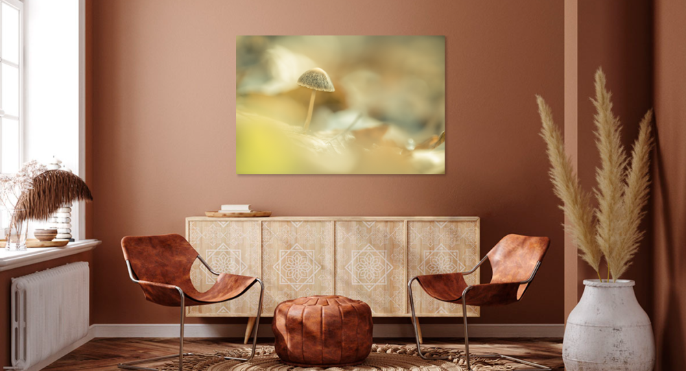 Tablou canvas, Ciuperca umbreluta, 120x80 cm [4]