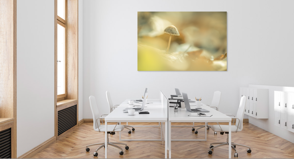 Tablou canvas, Ciuperca umbreluta, 120x80 cm [2]