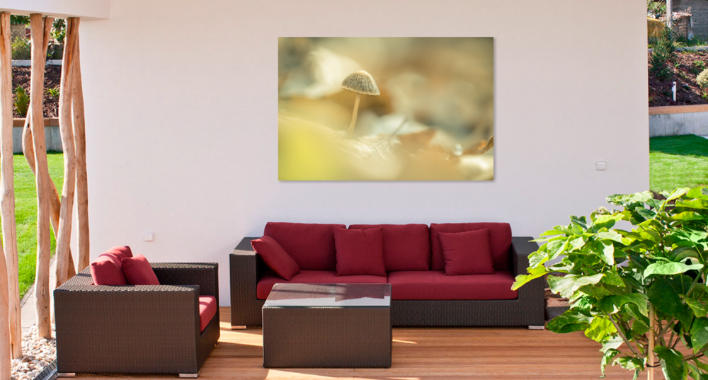 Tablou canvas, Ciuperca umbreluta, 120x80 cm [3]