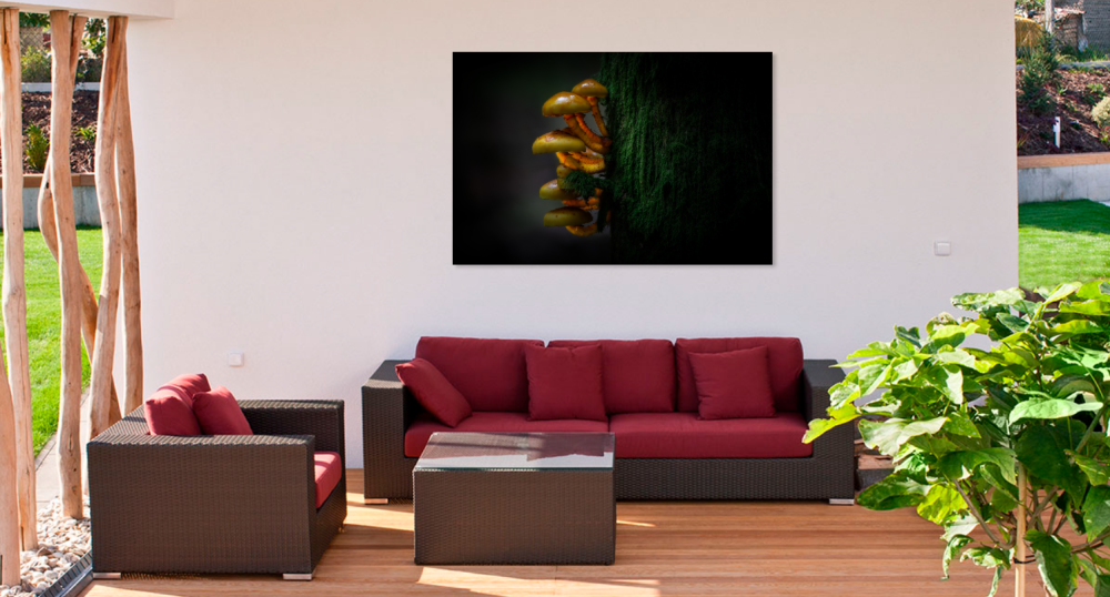 Tablou canvas, Ciuperci in copac, 120x80 cm [2]