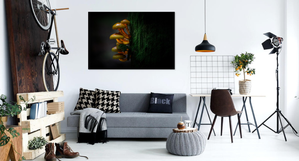 Tablou canvas, Ciuperci in copac, 120x80 cm [4]