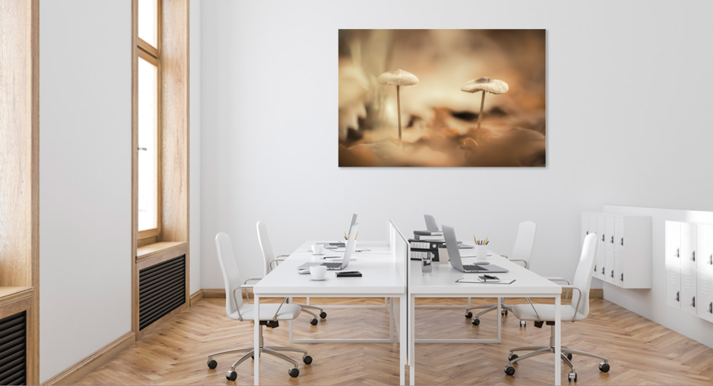 Tablou canvas, Ciupercute in padure, 100x70 cm [4]