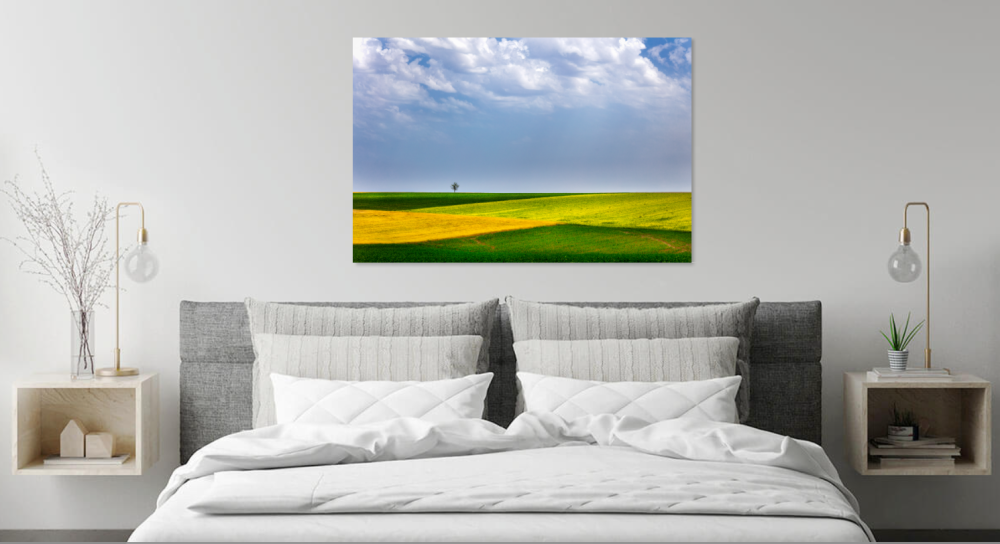 Tablou canvas, Copac singuratic in Dobrogea, 50x30 cm [2]