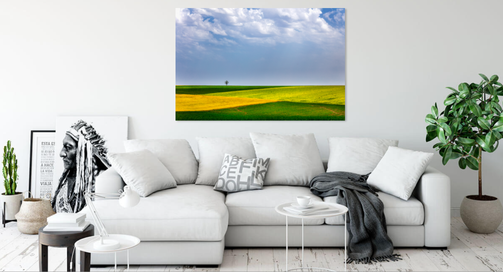 Tablou canvas, Copac singuratic in Dobrogea, 50x30 cm [3]