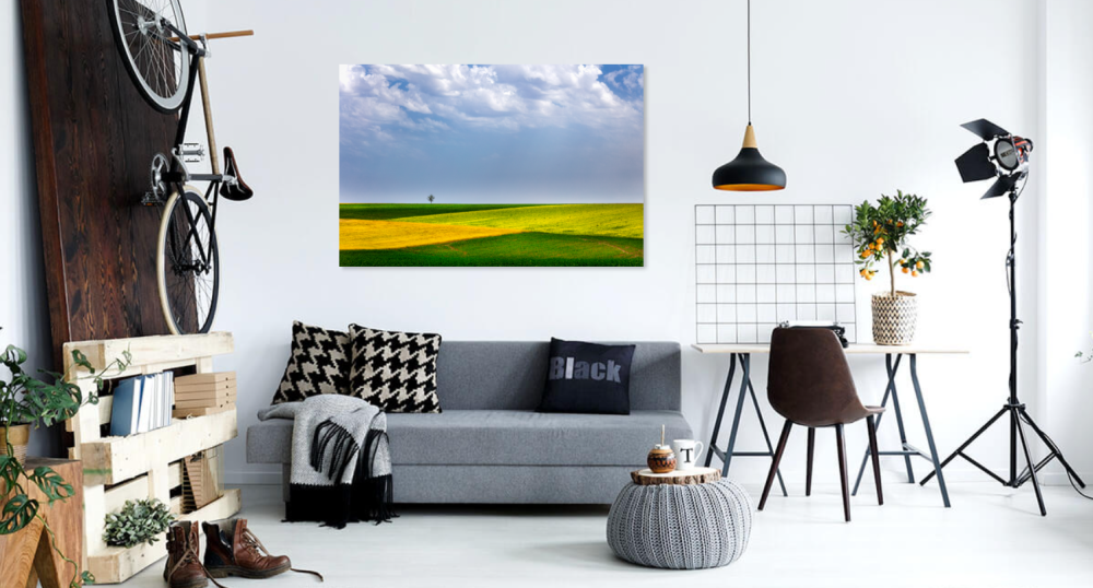 Tablou canvas, Copac singuratic in Dobrogea, 50x30 cm [4]