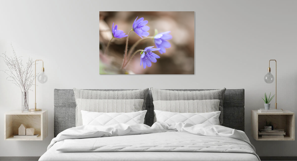 Tablou canvas, Crucea voinicului, specie endemica, 50x30 cm [3]