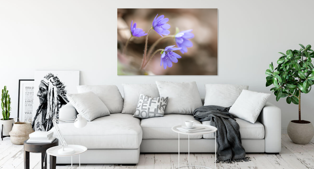 Tablou canvas, Crucea voinicului, specie endemica, 50x30 cm [2]