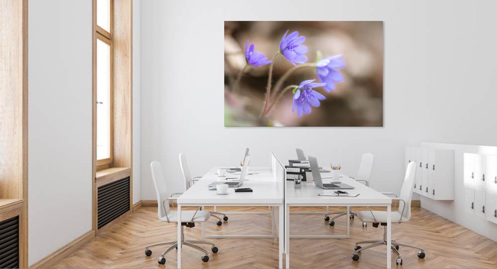 Tablou canvas, Crucea voinicului, specie endemica, 50x30 cm [4]