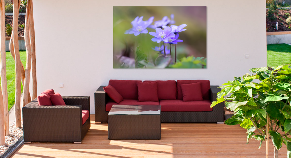 Tablou canvas, Crucea voinicului, specie endemica in Muntii Carpati, 100x70 cm [3]