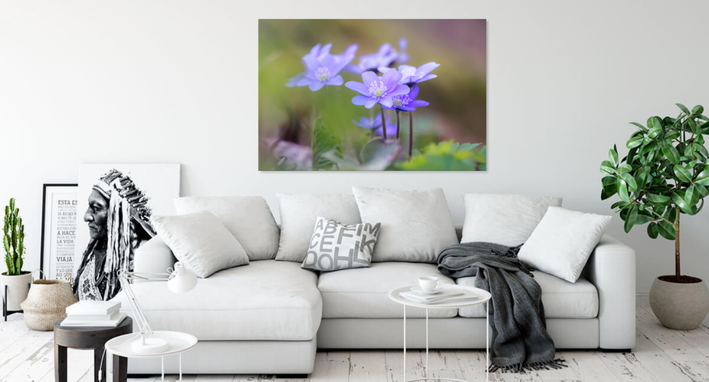 Tablou canvas, Crucea voinicului, specie endemica in Muntii Carpati, 100x70 cm [2]