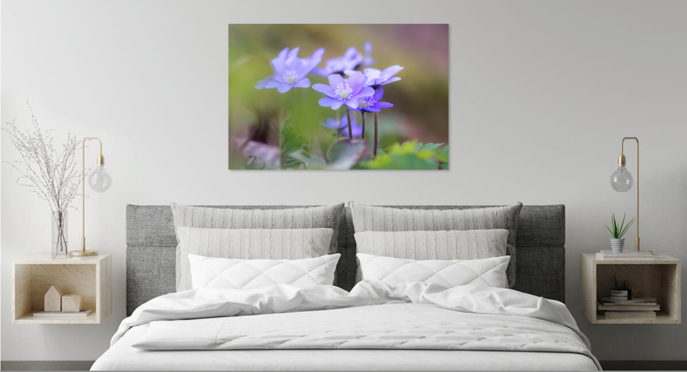 Tablou canvas, Crucea voinicului, specie endemica in Muntii Carpati, 100x70 cm [4]