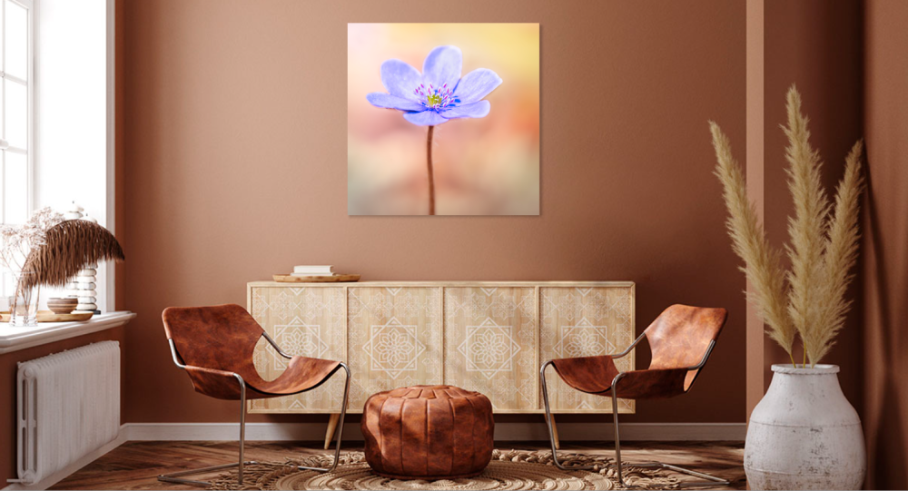 Tablou canvas, Crucea voinicului, specie endemica in Muntii Carpati, portret, 80x80 cm [3]