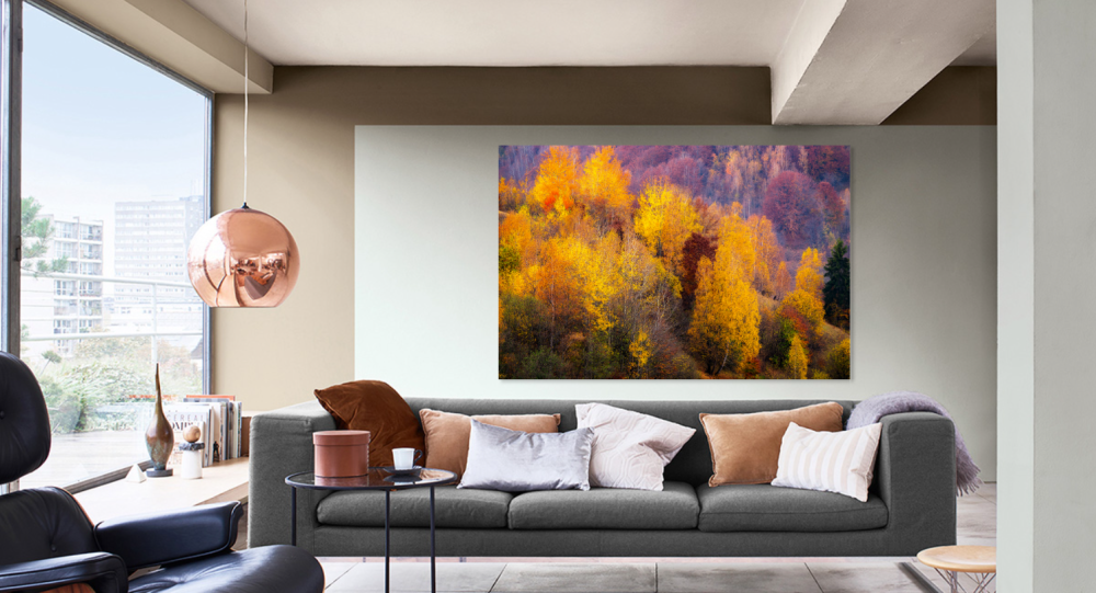 Tablou canvas, Culori de toamna in Culoarul Rucar-Bran, munte, 100x70 cm [2]