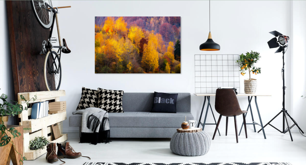 Tablou canvas, Culori de toamna in Culoarul Rucar-Bran, munte, 100x70 cm [4]