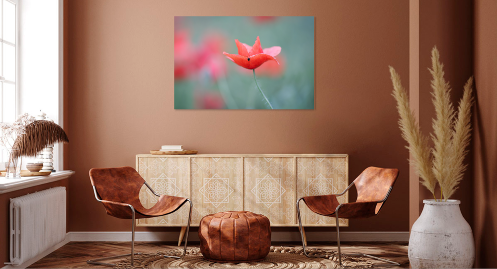 Tablou canvas, Floare de mac salbatic, 100x70 cm [3]