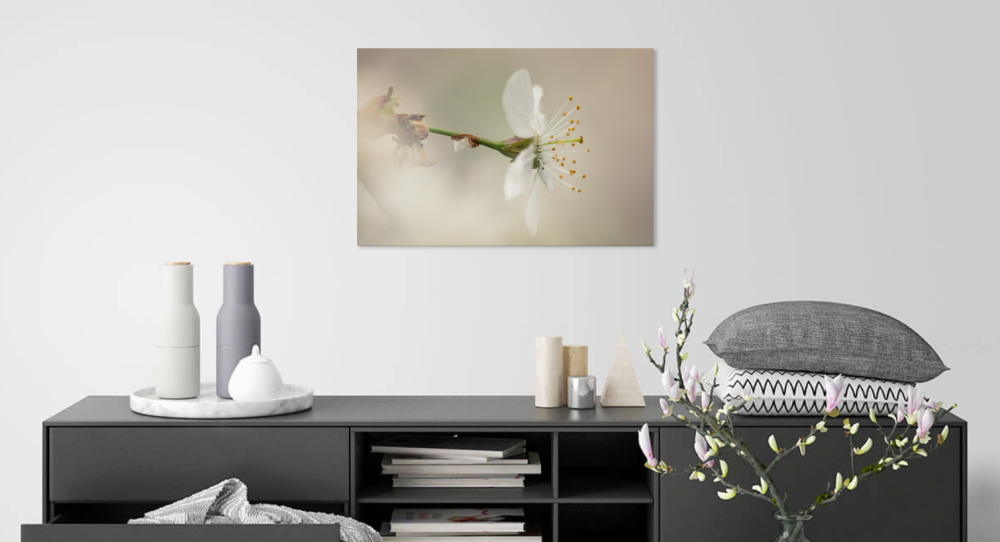 Tablou canvas, Floare de mar, primavara, 100x70 cm [4]