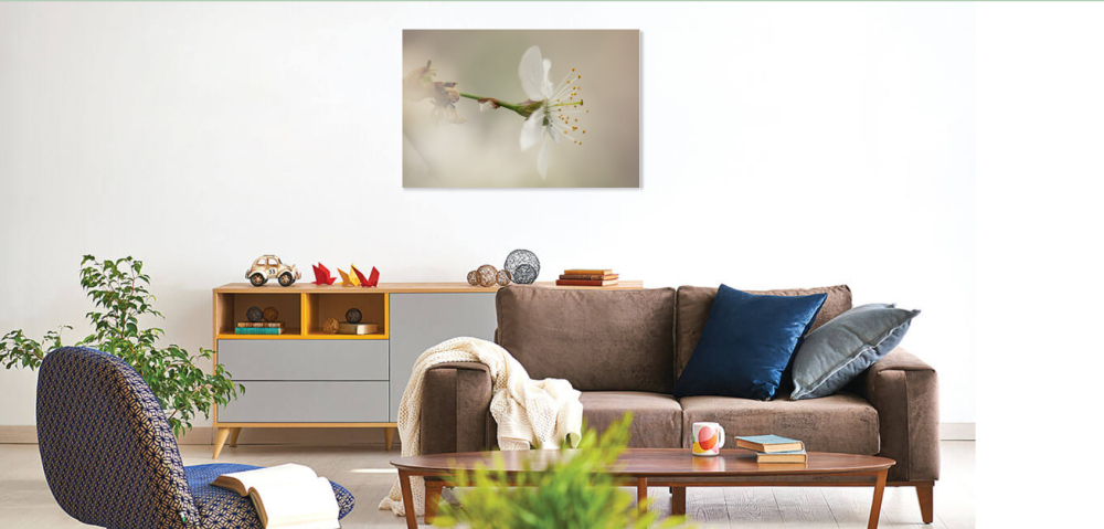 Tablou canvas, Floare de mar, primavara, 100x70 cm [3]