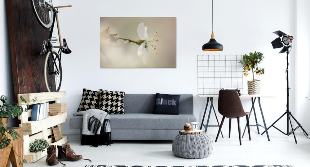 Tablou canvas, Floare de mar, primavara, 100x70 cm [2]