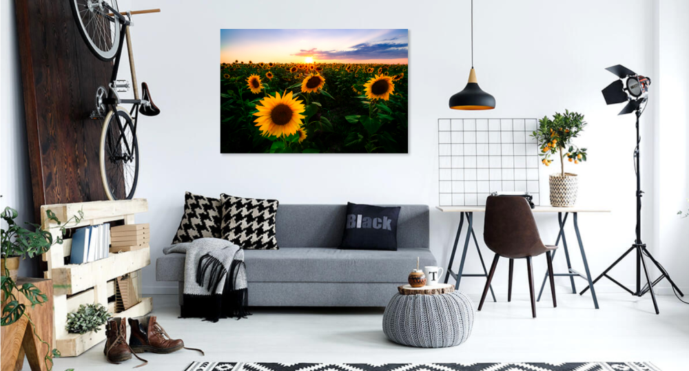 Tablou canvas, Floarea soarelui la apus, sunflowers in the sunset, 90x60 cm [3]
