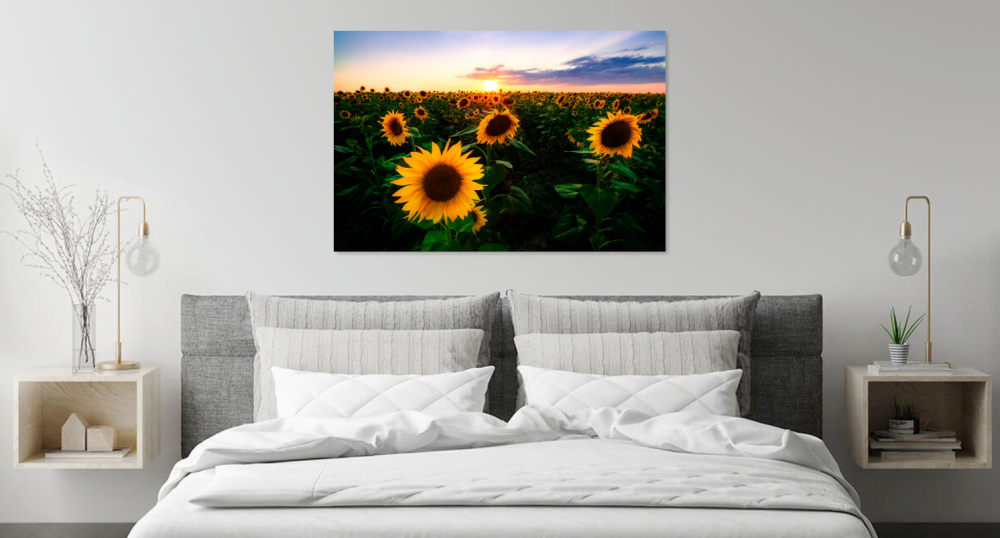 Tablou canvas, Floarea soarelui la apus, sunflowers in the sunset, 90x60 cm [5]