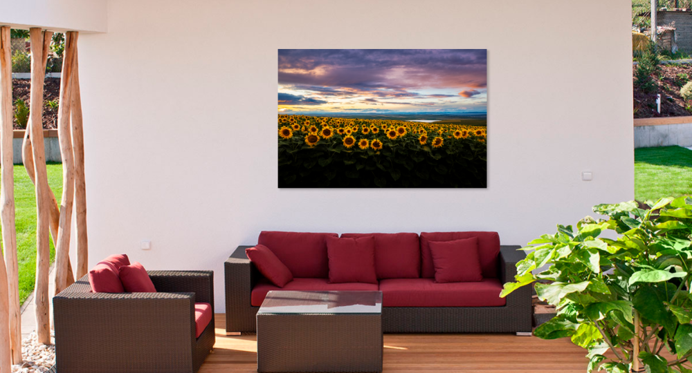 Tablou canvas, Floarea soarelui, peisaj, sunflowers in the sunset, 120x80 cm [2]