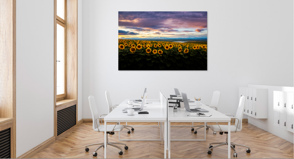 Tablou canvas, Floarea soarelui, peisaj, sunflowers in the sunset, 120x80 cm [4]