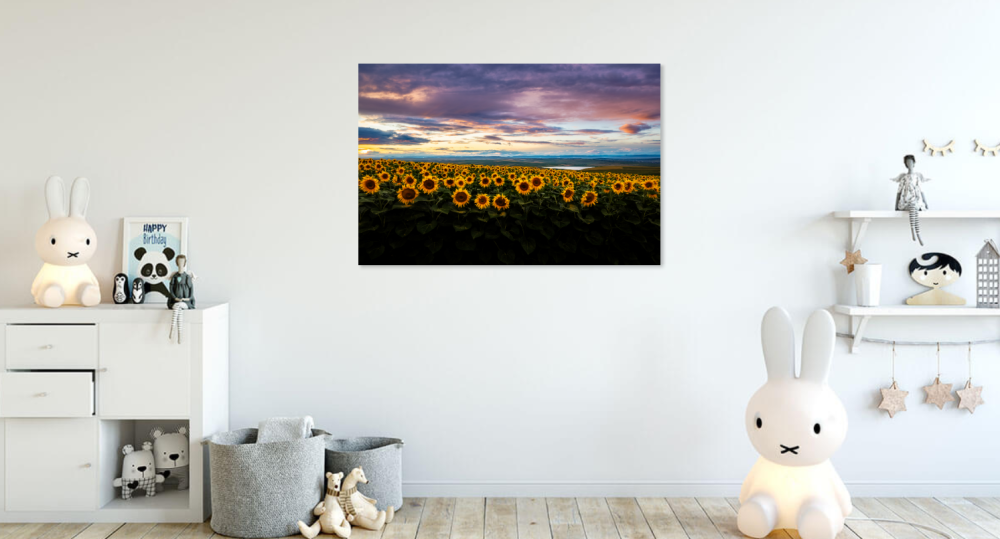 Tablou canvas, Floarea soarelui, peisaj, sunflowers in the sunset, 120x80 cm [5]
