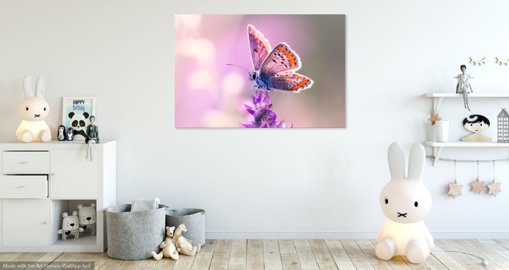 Tablou canvas, Fluture pe orhidee salbatica, primavara, Aricia agestis - Albastrelul osului iepuresc, 100x70 cm [4]