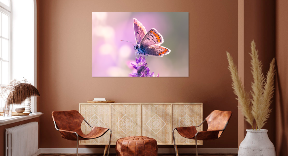 Tablou canvas, Fluture pe orhidee salbatica, primavara, Aricia agestis - Albastrelul osului iepuresc, 100x70 cm [3]