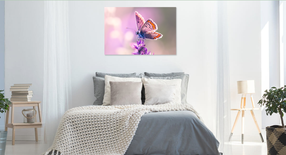 Tablou canvas, Fluture pe orhidee salbatica, primavara, Aricia agestis - Albastrelul osului iepuresc, 100x70 cm [5]