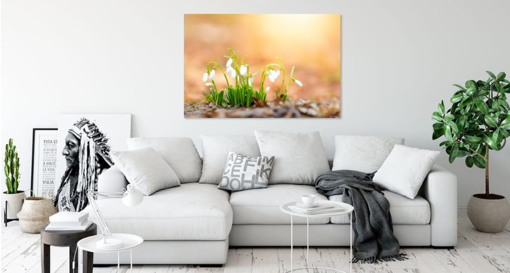 Tablou canvas, Ghiocei cu frunze indoite (Galanthus plicatus), Dobrogea, 100x70 cm [2]