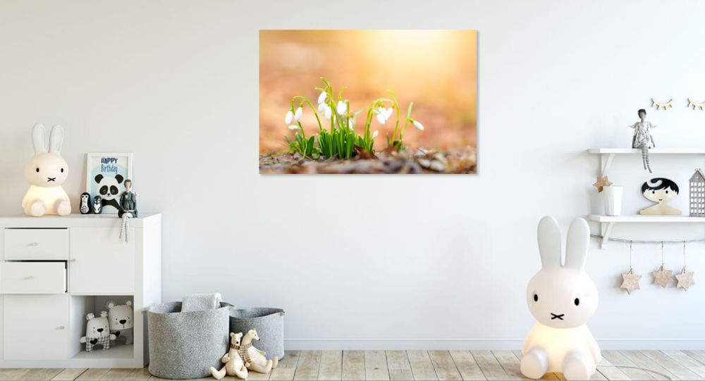 Tablou canvas, Ghiocei cu frunze indoite (Galanthus plicatus), Dobrogea, 100x70 cm [6]