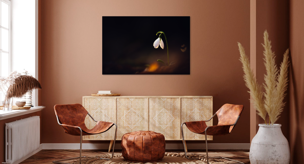 Tablou canvas, Ghiocelul cel mare (Galanthus elwesii), 100x70 cm [3]
