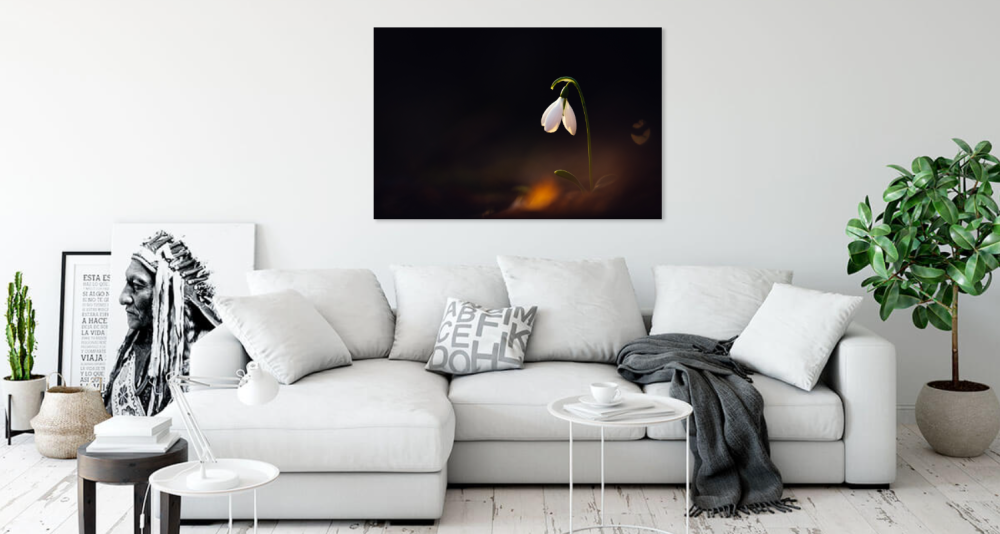 Tablou canvas, Ghiocelul cel mare (Galanthus elwesii), 100x70 cm [2]