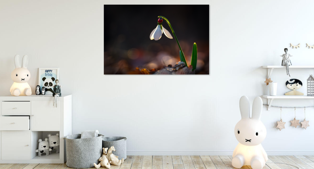 Tablou canvas, Ghiocelul cel mare (Galanthus elwesii), buburuza, 100x70 cm [6]