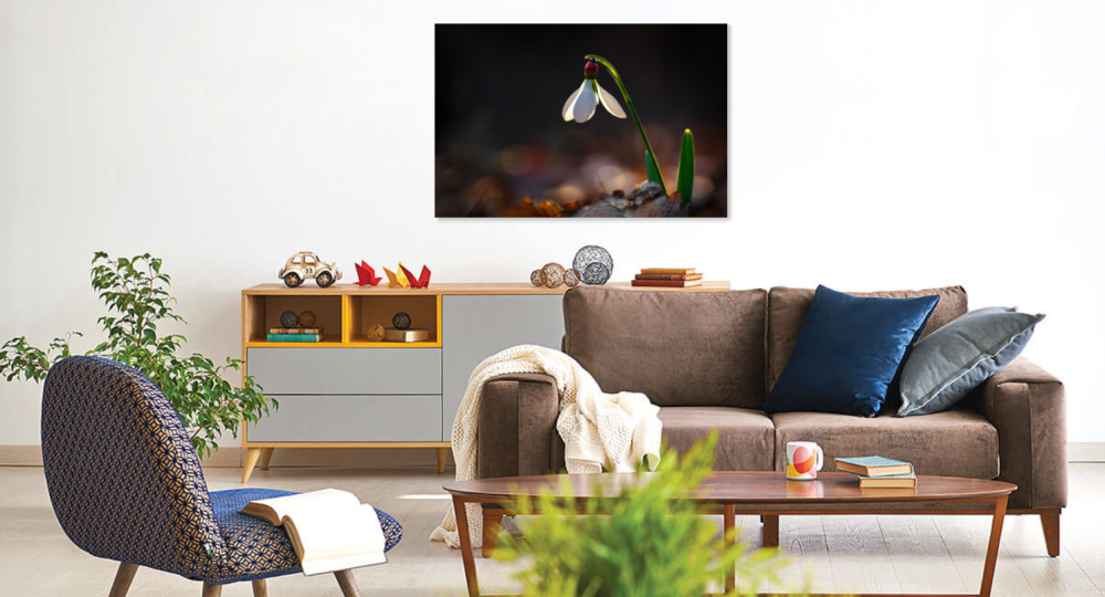 Tablou canvas, Ghiocelul cel mare (Galanthus elwesii), buburuza, 100x70 cm [2]