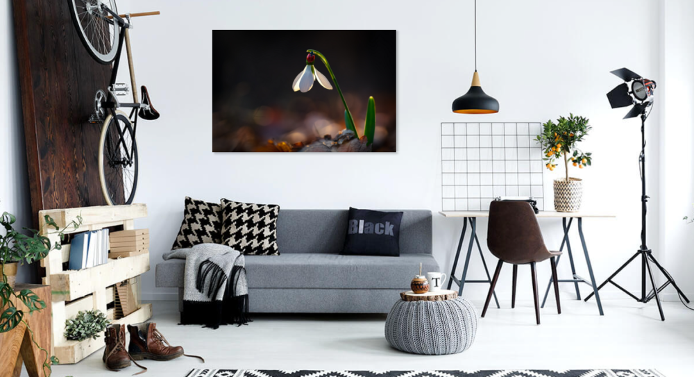 Tablou canvas, Ghiocelul cel mare (Galanthus elwesii), buburuza, 100x70 cm [3]