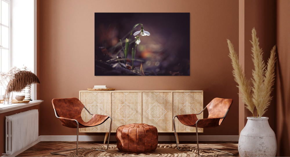 Tablou canvas, Ghiocelul cel mare (Galanthus elwesii) inflorit, 90x60 cm [3]