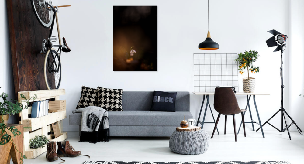 Tablou canvas, Ghiocelul cel mare (Galanthus elwesii) inflorit, portret, 30x50 cm [3]