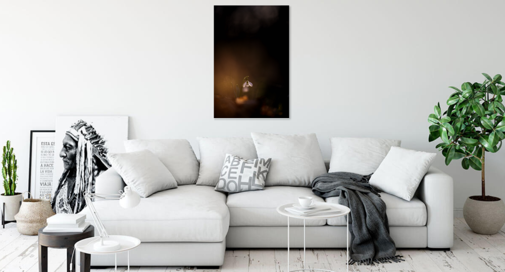 Tablou canvas, Ghiocelul cel mare (Galanthus elwesii) inflorit, portret, 30x50 cm [2]