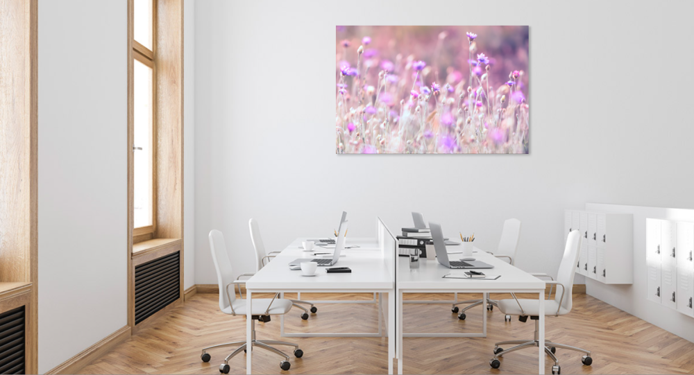 Tablou canvas, Imortele - Everlasting flower, 75x50 cm [4]