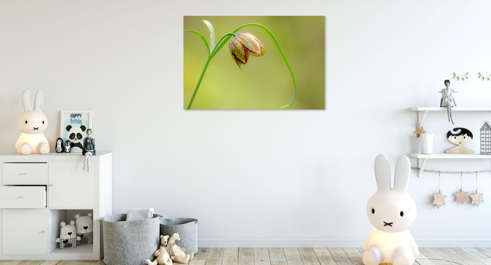 Tablou canvas, Laleaua pestrita (Fritillaria montana), 100x70 cm [4]