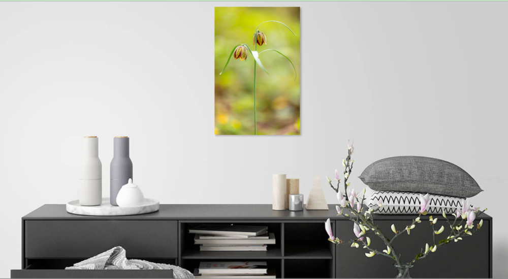 Tablou canvas, Laleaua pestrita (Fritillaria montana), portret, 70x100 cm [2]