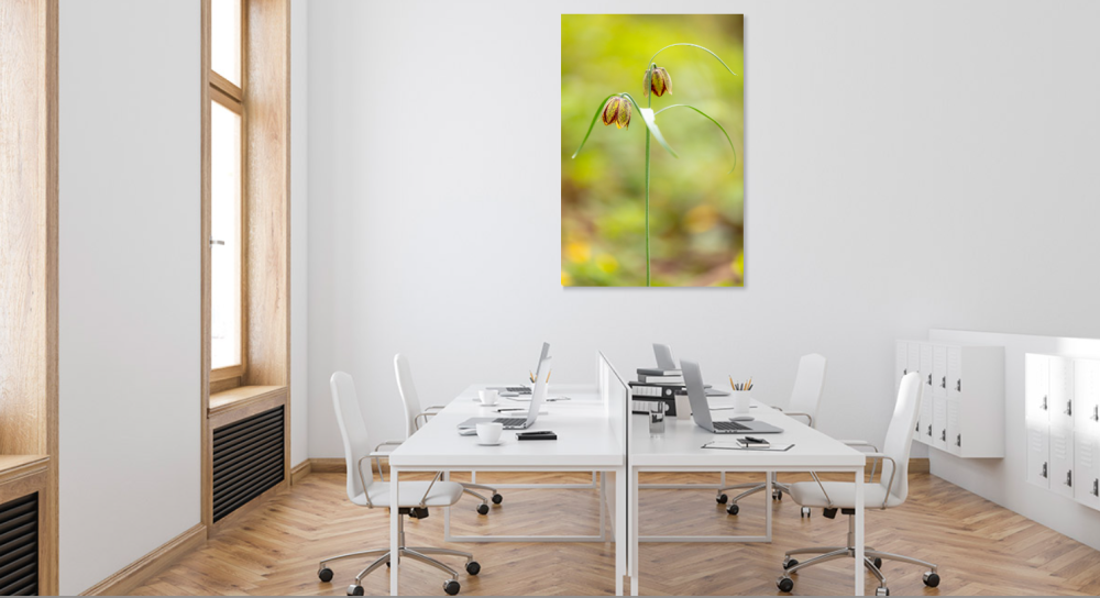 Tablou canvas, Laleaua pestrita (Fritillaria montana), portret, 70x100 cm [4]