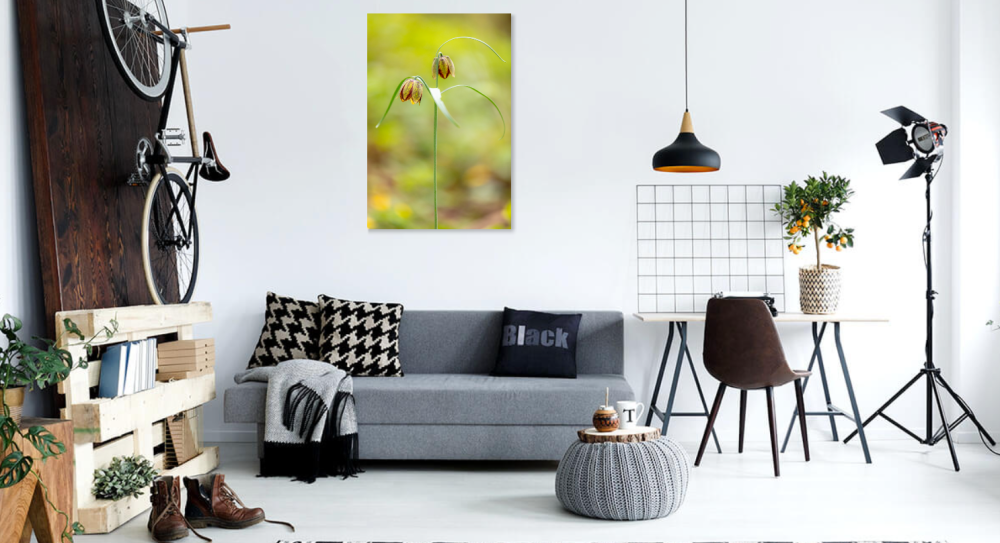 Tablou canvas, Laleaua pestrita (Fritillaria montana), portret, 70x100 cm [3]