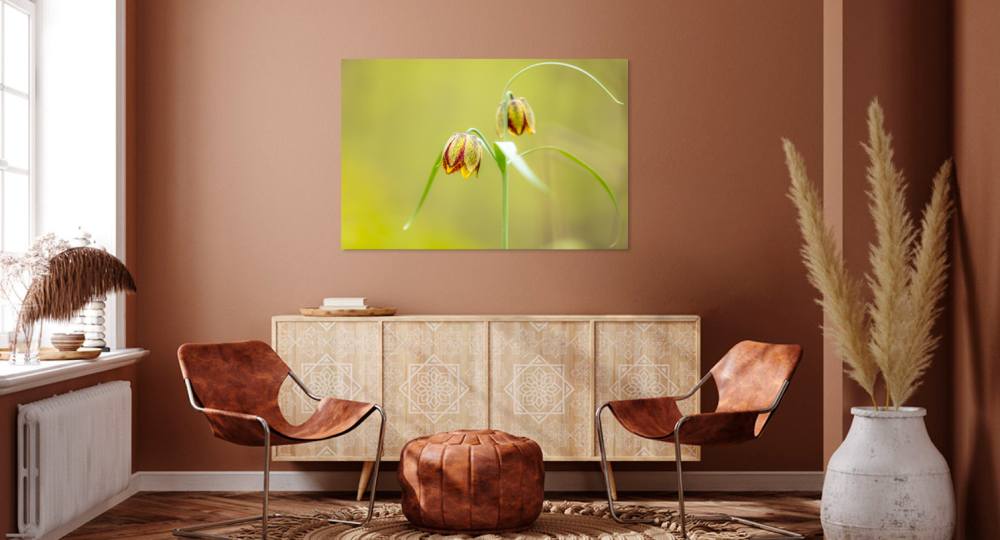 Tablou canvas, Lalele pestrite (Fritillaria montana), 50x30 cm [2]