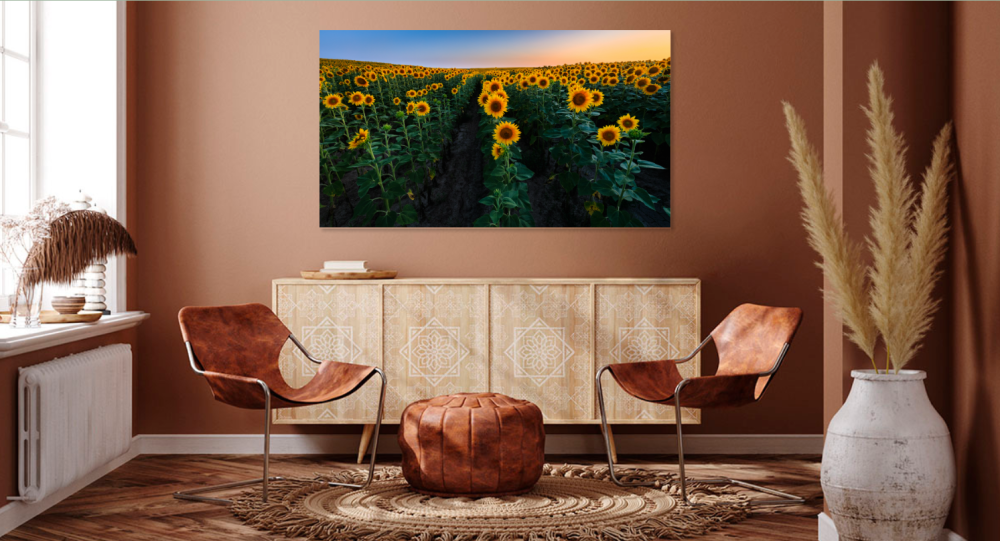 Tablou canvas, Lan de floarea soarelui, sunflowers, 120x80 cm [4]